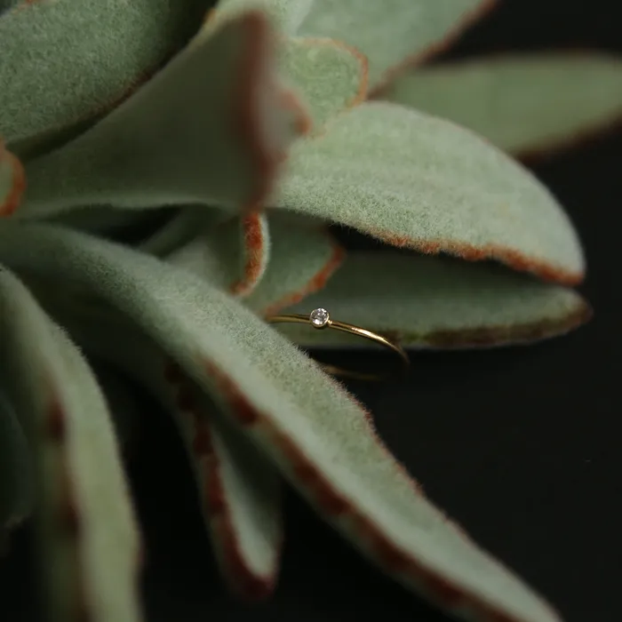 CIVAL Collective Rings Tia Ring